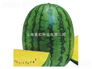 �紺�S��-���ϷN��-�ݺͷN�I(y��)