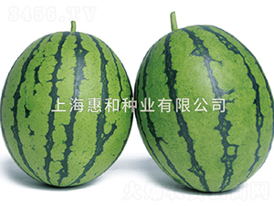 �G�-���ϷN��-�ݺͷN�I(y��)