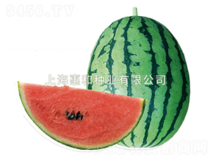 ����-���ϷN��-�ݺͷN�I(y��)