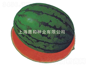 �f����-���ϷN��-�ݺͷN�I(y��)