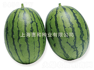 �紺�t��-���ϷN��-�ݺͷN�I(y��)