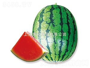 �\�Cǰ��-���ϷN��-�ݺͷN�I(y��)