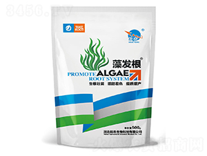 ��l(f��)��-���r(n��ng)