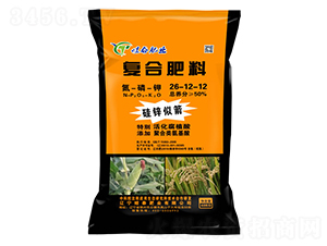 �ͺϷ���26-12-12-���\�Ƽ�-��̩�ʘI(y��)