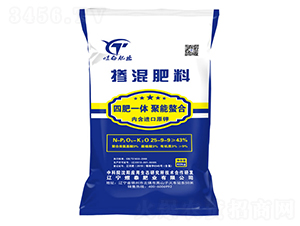 �������25-9-9-��̩�ʘI(y��)