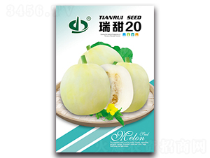 ����20-��ϷN��-����N��