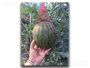 ����158-���ϷN��-����N��