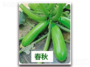 ����1506-�����J�N��-����N��