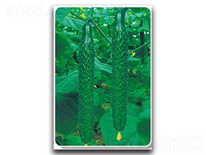 ����-�S�ϷN��-����N��