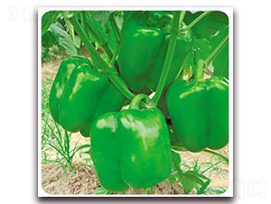 �W��-�����N��-����N��