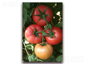 ���118-���ѷN��-����N��