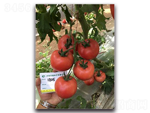 ���1805-���ѷN��-����N��