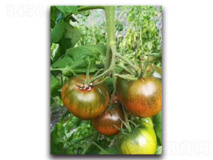 �G��(y��u)��-���ѷN��-����N��