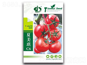 ������C6-���ѷN��-����N��