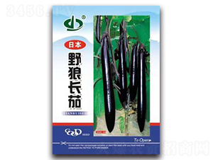 Ұ���L(zh��ng)��-���ӷN��-����N��