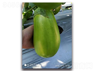 ����5̖(h��o)-���ӷN��-����N��