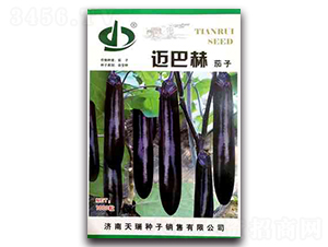 �~�ͺ�-���ӷN��-����N��