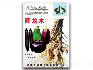 ����ľ-���ӷN��-����N��