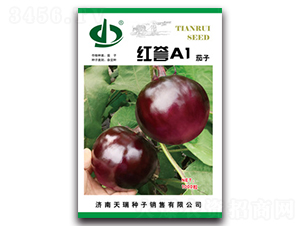 �t�uA1-���ӷN��-����N��