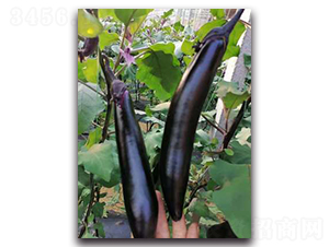 �ڿ�1604-���ӷN��-����N��