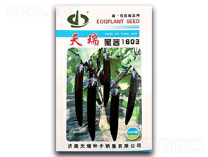 �ڿ�1603-���ӷN��-����N��