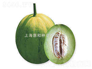 ˼��-��ϷN��-�ݺͷN�I(y��)