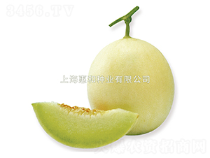 ����-��ϷN��-�ݺͷN�I(y��)