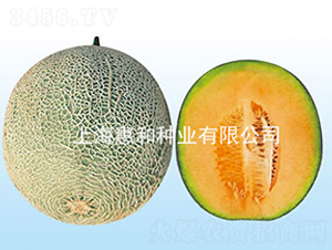 �f�t-��ϷN��-�ݺͷN�I(y��)