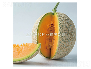 �ۼt-��ϷN��-�ݺͷN�I(y��)