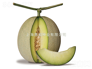 ����-��ϷN��-�ݺͷN�I(y��)