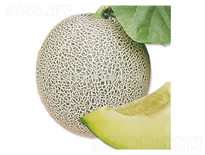 �Ę�-��ϷN��-�ݺͷN�I(y��)