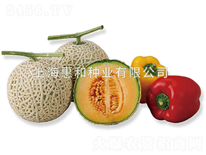 �����I-��ϷN��-�ݺͷN�I(y��)