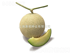 ����867-��ϷN��-�ݺͷN�I(y��)