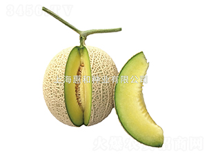 ��ɫ����-��ϷN��-�ݺͷN�I(y��)