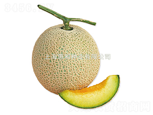 �ظ�-��ϷN��-�ݺͷN�I(y��)