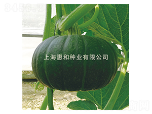 ⏳��\-�ϹϷN��-�ݺͷN�I(y��)