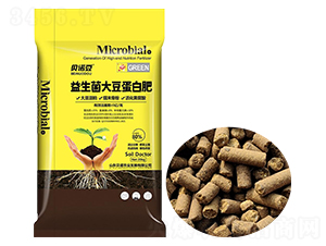 �������󶹵��׷�-ؐ�Z��-ؐ�Z