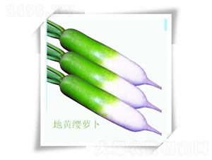 ���S�t�}��-�}���N��-��ʥ��