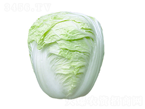 ����58-�ײ˷N��-��ʥ��