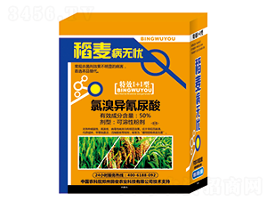 50%���宐������-�������o�n-�￡�ʘI(y��)