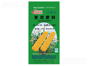 �ߝ�ȓ������24-14-16-�炐̩��