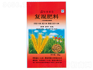 С���ߵ�׷ʩ��-�炐̩��