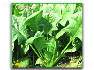 �(y��u)���~����-���˷N��-�(y��u)�r(n��ng)�I(y��)