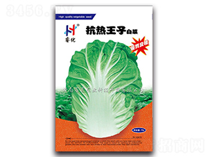 �������Ӱײ�-�ײ˷N��-�(y��u)�r(n��ng)�I(y��)