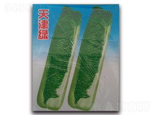 ���G-�ײ˷N��-�(y��u)�r(n��ng)�I(y��)