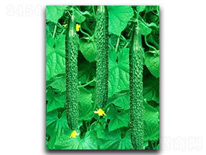 ����(j��)������-�S�ϷN��-�(y��u)�r(n��ng)�I(y��)