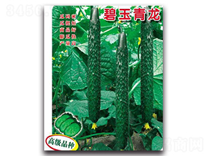 ��������-�S�ϷN��-�(y��u)�r(n��ng)�I(y��)