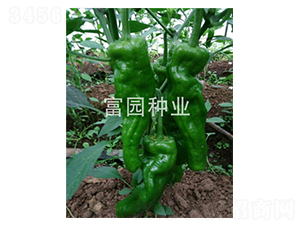 �G�S10-�ݽ��N��-���@�N�I(y��)