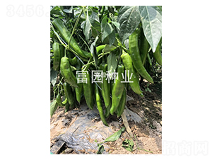 �����L��-�����N��-���@�N�I(y��)