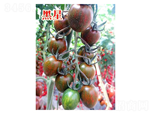 ����-���ҷ��ѷN��-���@�N�I(y��)